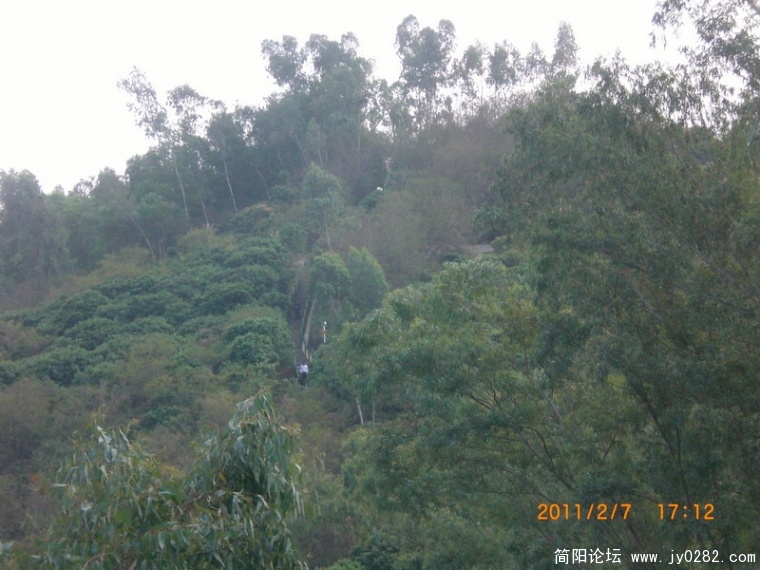 CIMG8848.JPG