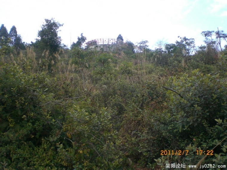 CIMG8860.JPG