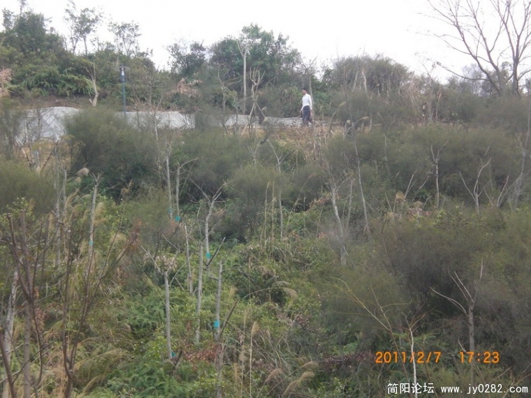CIMG8862.JPG