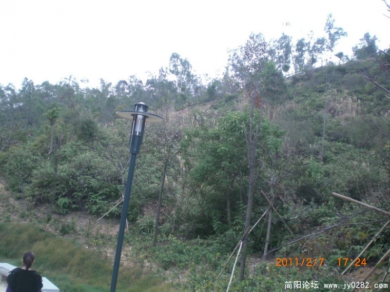 CIMG8863.JPG
