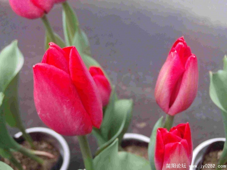 PHOT0035.JPG