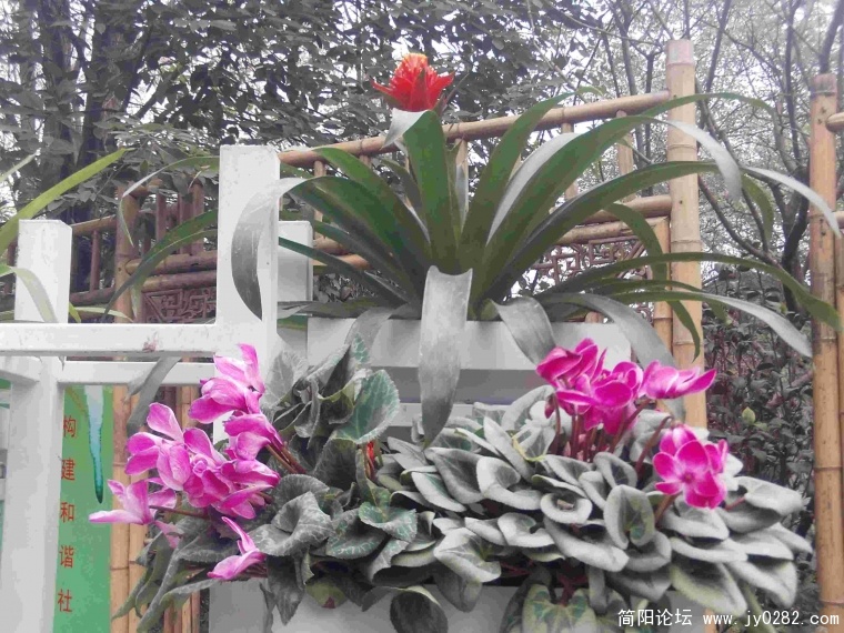 PHOT0038.JPG