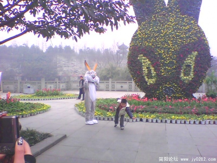 IMG0080A.jpg