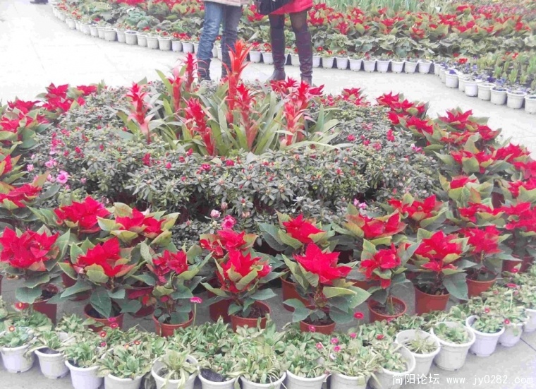PHOT0091.JPG