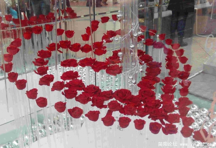 PHOT0218.JPG