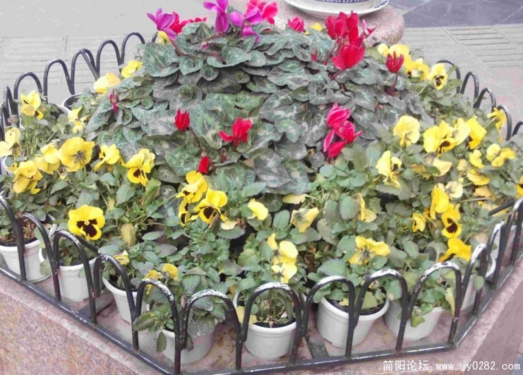 PHOT0223.JPG