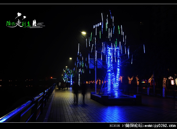 2011春节《滨江夜景》06jpg.jpg
