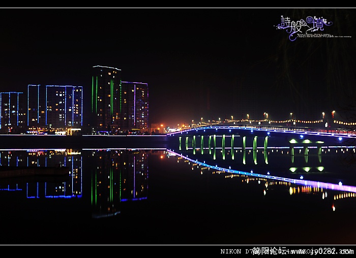 2011春节《滨江夜景》02.jpg