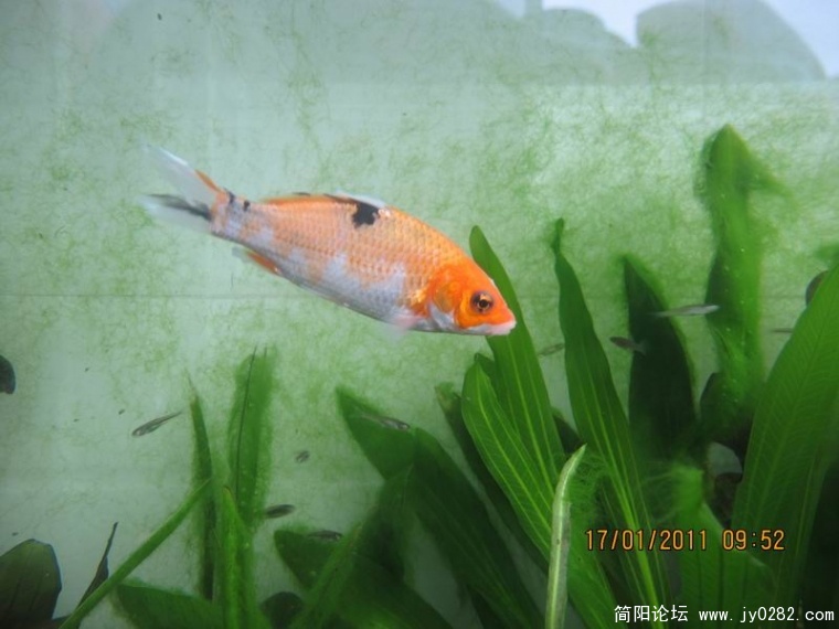 调整大小 照片 028.jpg