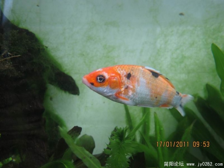 调整大小 照片 030.jpg