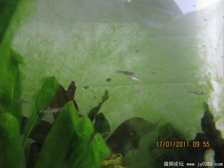 调整大小 照片 031.jpg