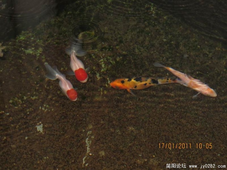 调整大小 照片 051.jpg