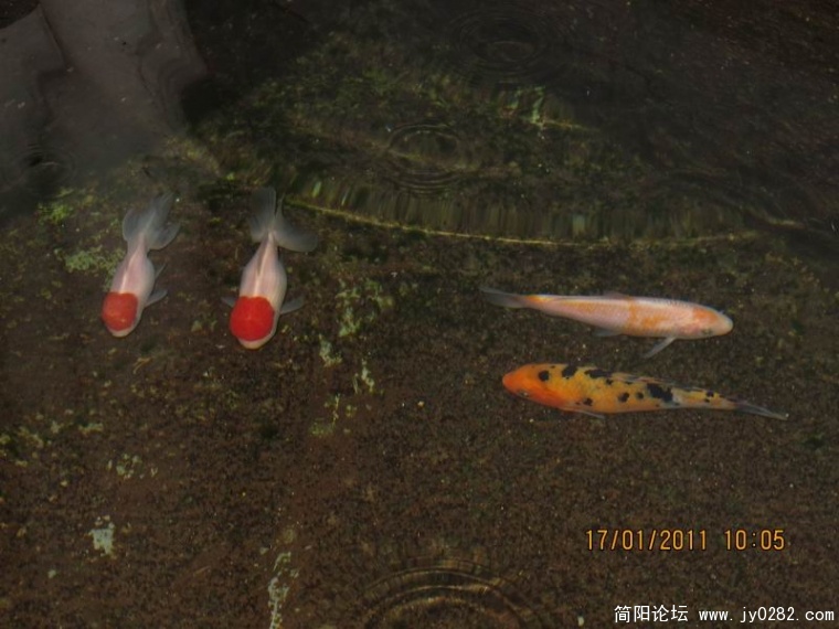 调整大小 照片 050.jpg