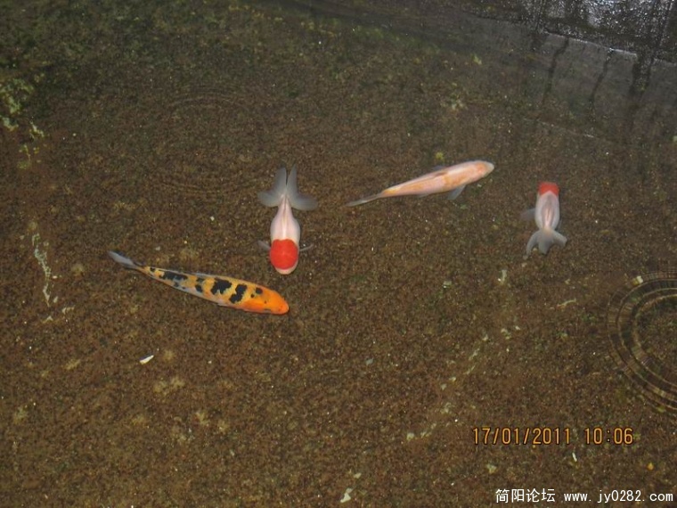 调整大小 照片 054.jpg