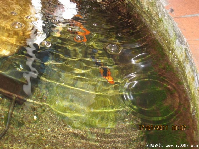 调整大小 照片 055.jpg