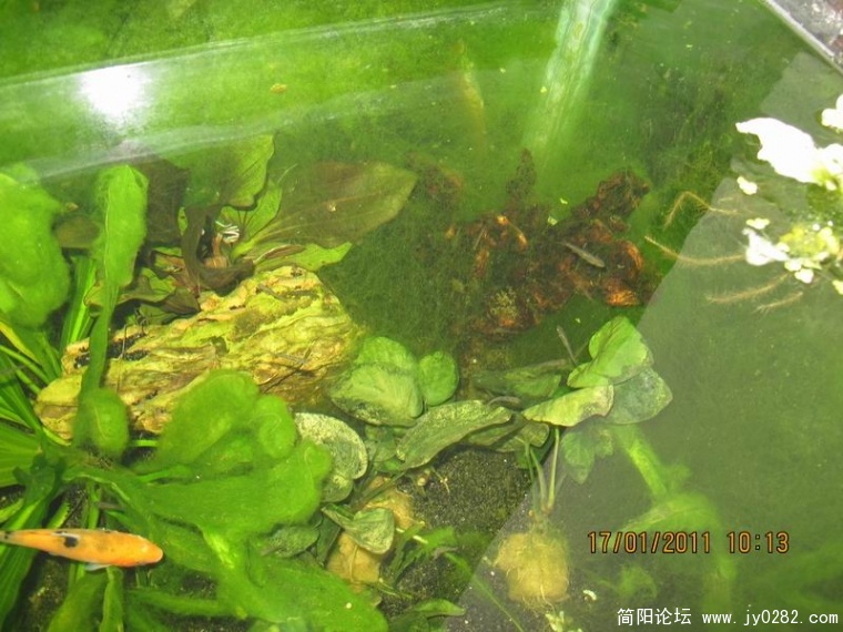 调整大小 照片 076.jpg