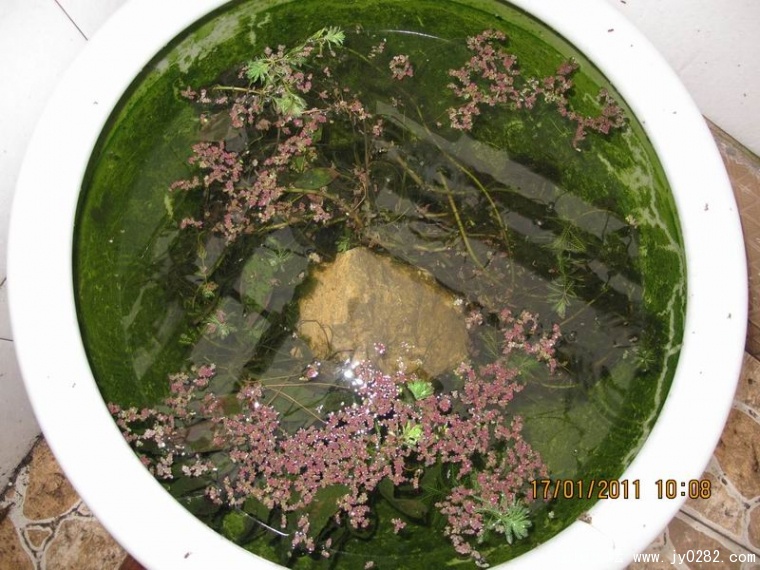 调整大小 照片 060.jpg