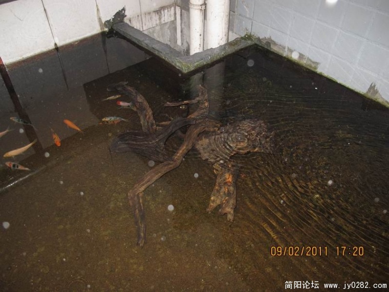 调整大小 照片 492.jpg