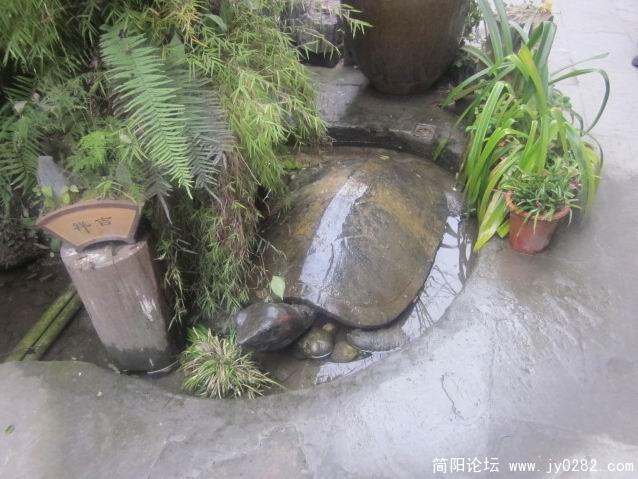 照片 408.jpg