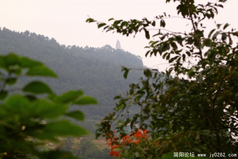20110209183.jpg
