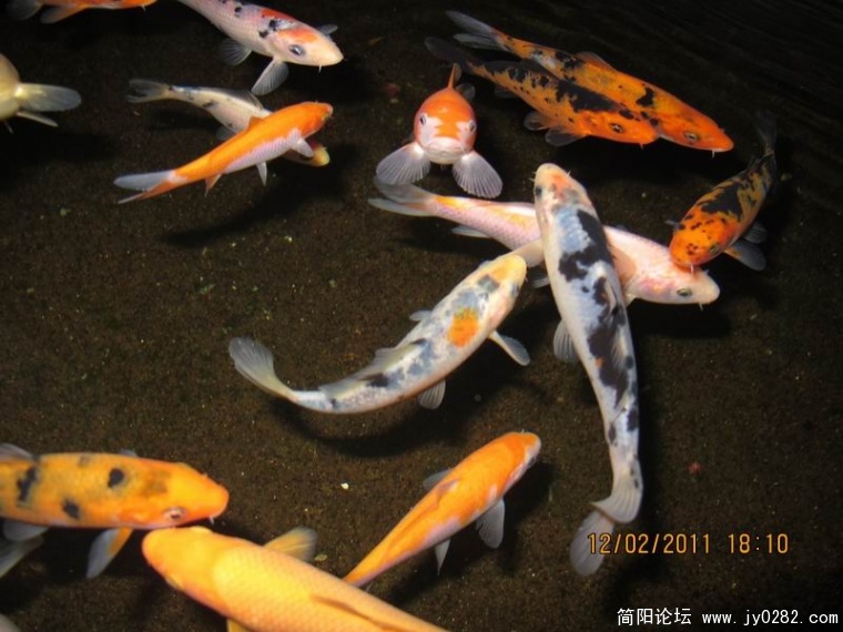 调整大小 照片 520.jpg