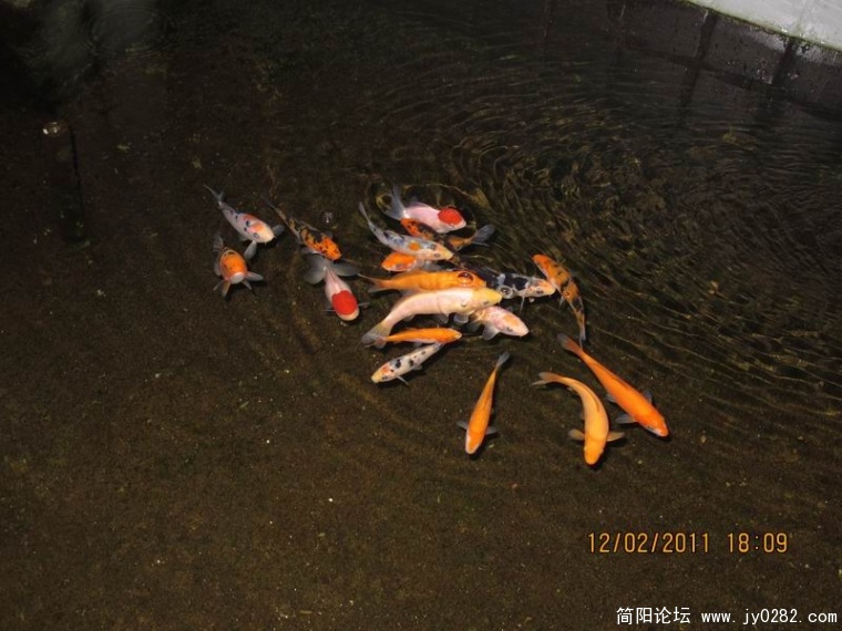 调整大小 照片 517.jpg