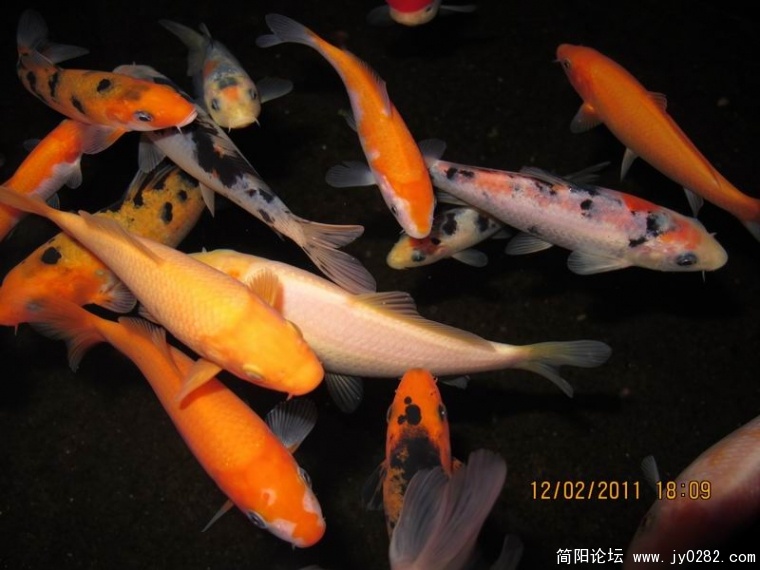 调整大小 照片 518.jpg