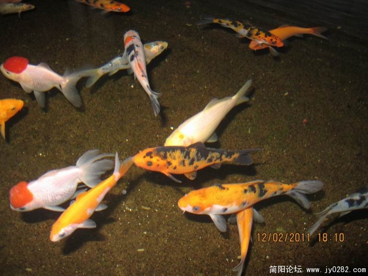 调整大小 照片 523.jpg