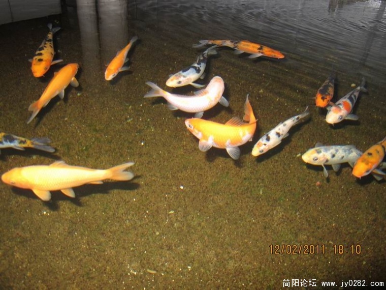 调整大小 照片 525.jpg