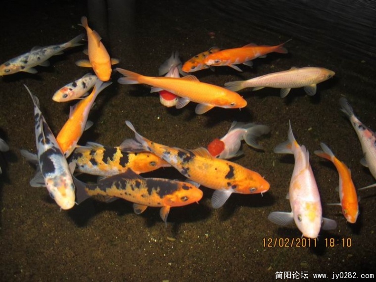调整大小 照片 521.jpg