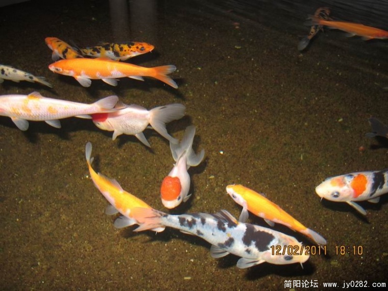 调整大小 照片 522.jpg