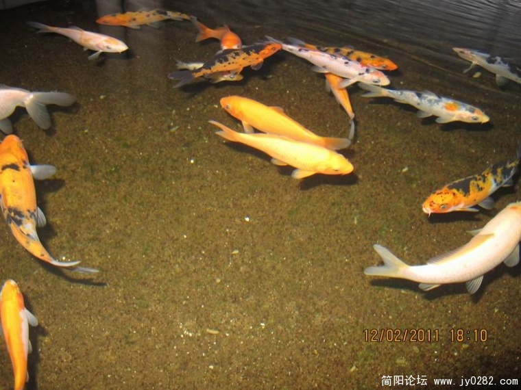 调整大小 照片 524.jpg