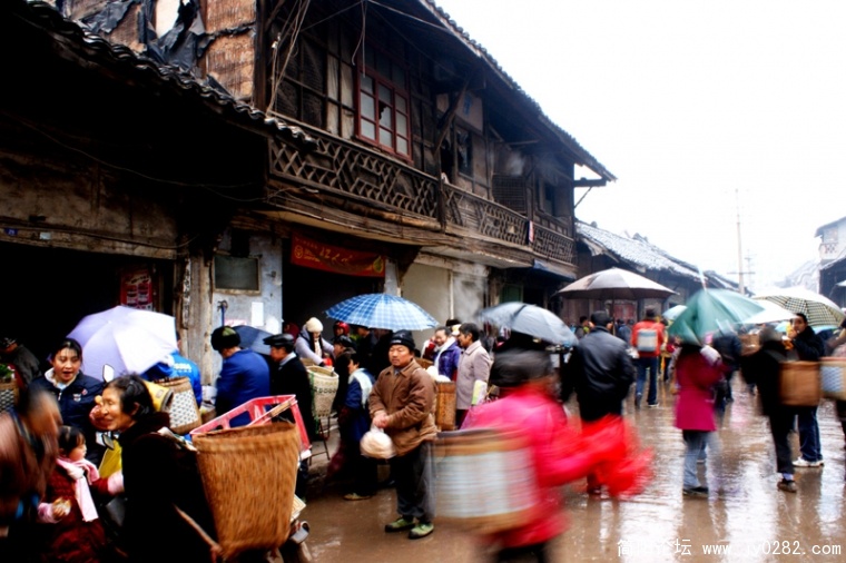 DSC08518-wl.jpg