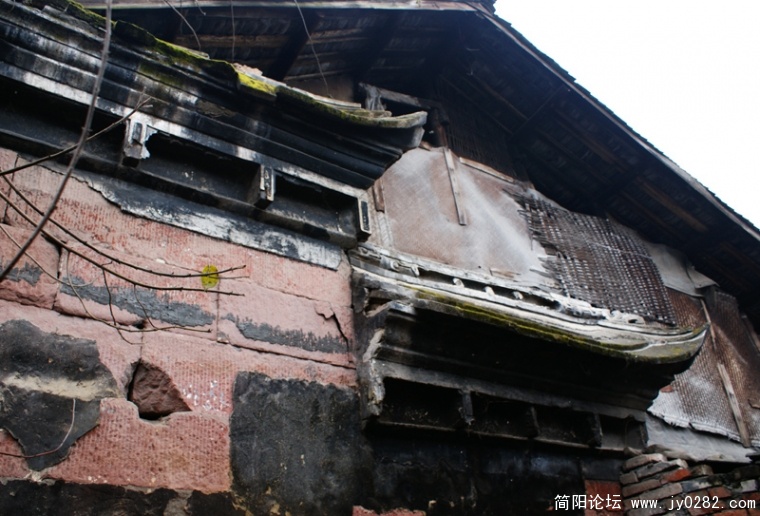DSC08762-wl.jpg