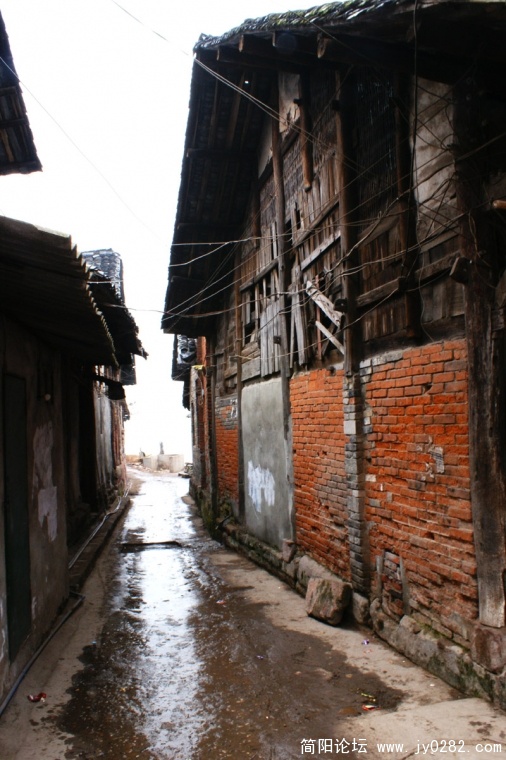 DSC08506-wl.jpg