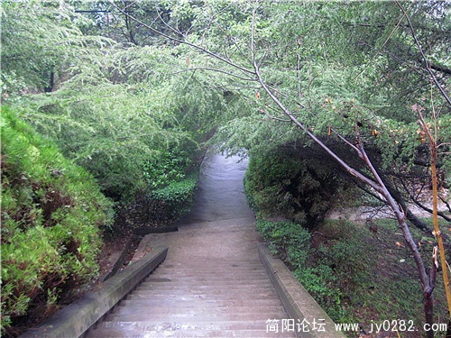 IMG_1618_副本_副本.jpg