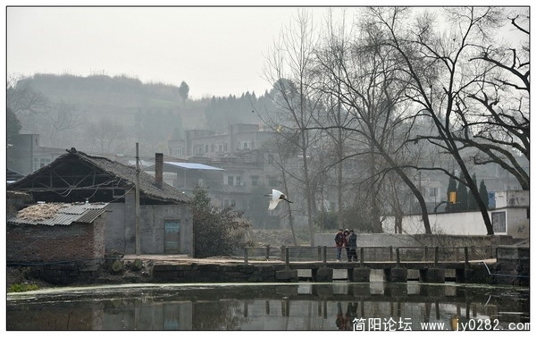 DSC_1226_缩小大小.jpg