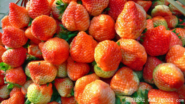 P1200224  拷贝.jpg