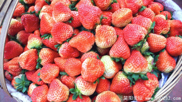 P1200220  拷贝.jpg