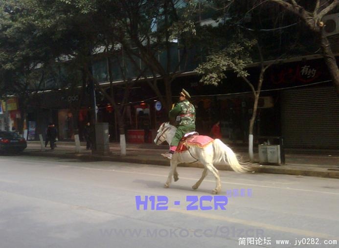 IMG00127-20110205-1153.jpg