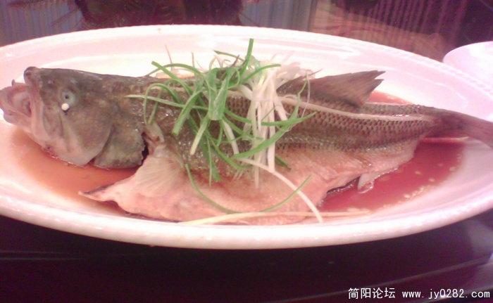 IMG0209A.jpg
