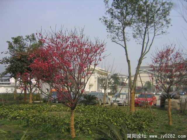 调整大小 IMG_0502.jpg