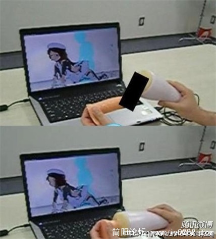 463.jpg
