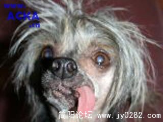 20080510_7f78743346db17dd73dbMpUoIO8Aze4c[1].jpg