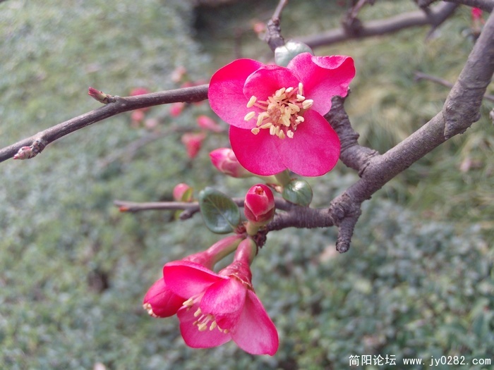 PHOT0010.JPG