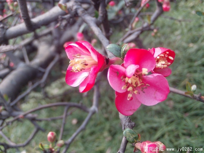 PHOT0011.JPG