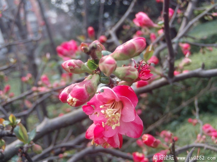 PHOT0012a.JPG