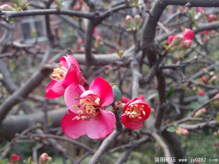 PHOT0014a.JPG