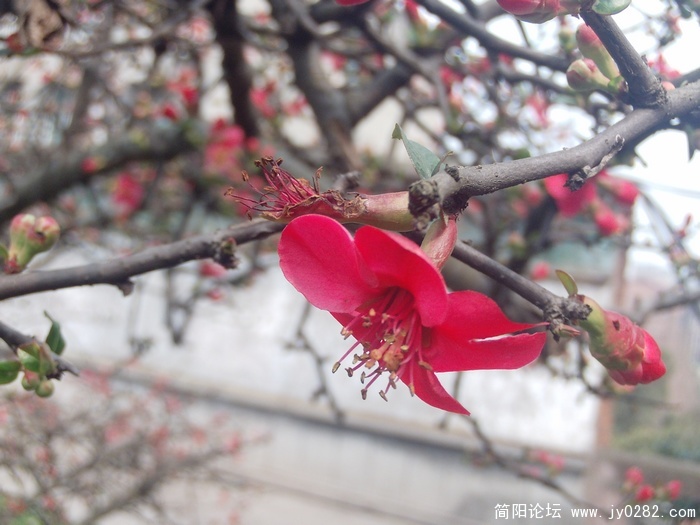 PHOT0015.JPG