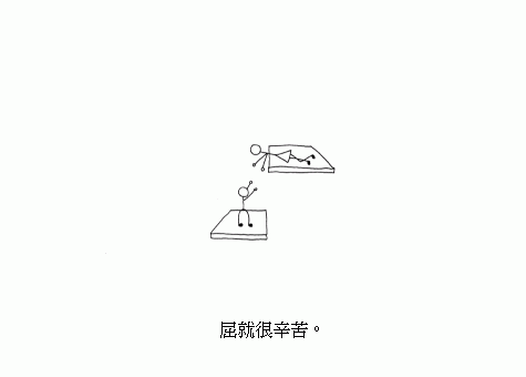 17.gif